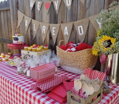 Hosting a Co-Ed Baby Shower BBQ Picnic!