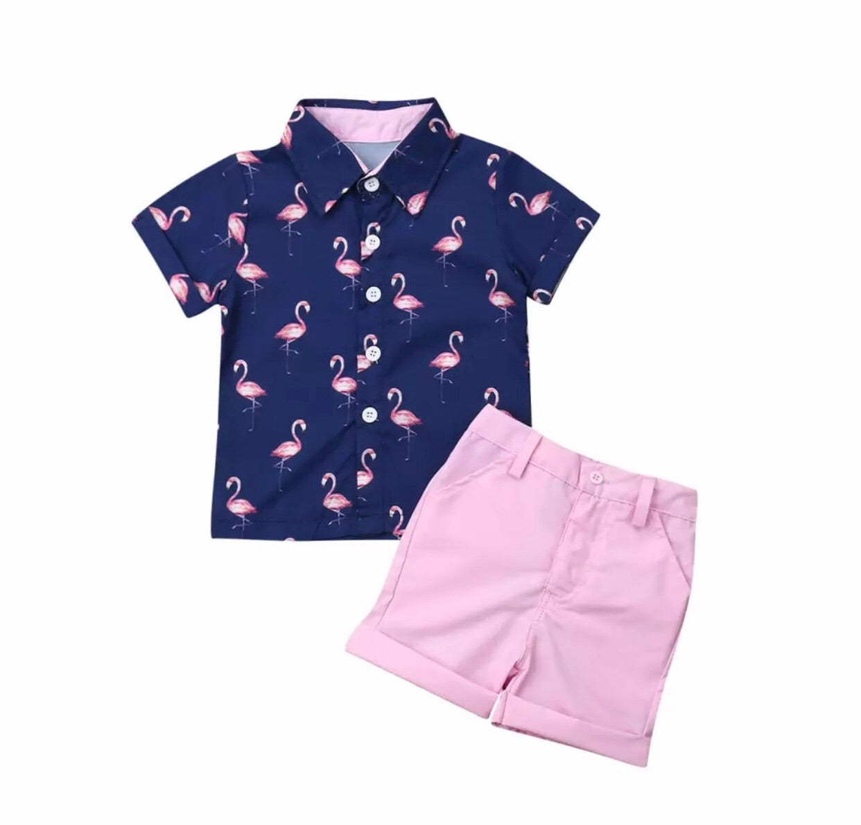 Boys-Clothing-Flamingo-Fever-Set